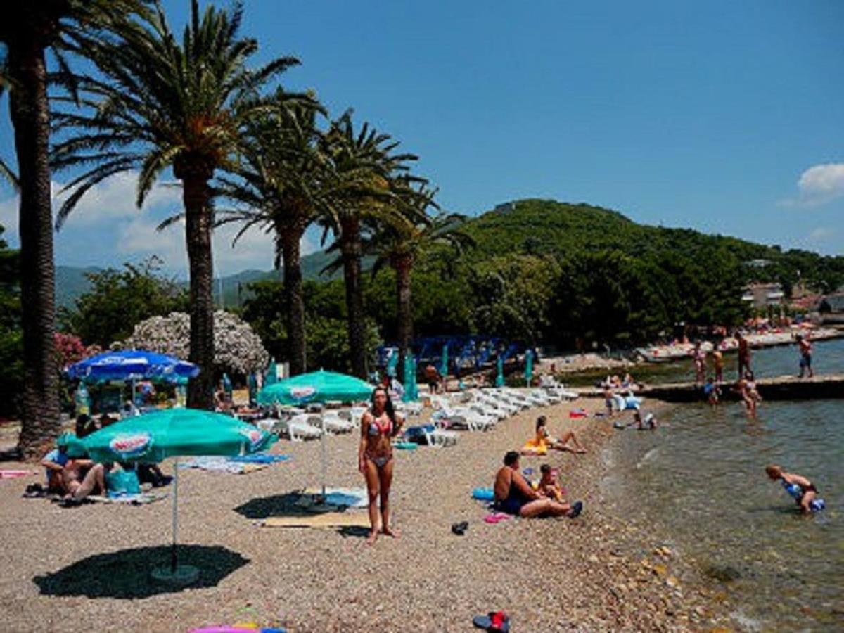 Apartment Jelaca Herceg Novi Zewnętrze zdjęcie